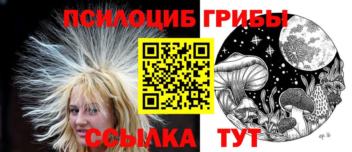 Псилоцибиновые грибы MAGIC MUSHROOMS Тутаев